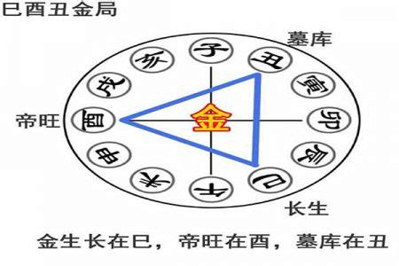 酉丑半合金|如何理解地支三合三会（图文详解）